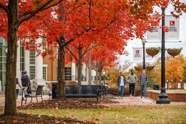 学生们漫步在弗格森长廊上鲜艳的秋叶中